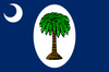 South Carolina January 1861 Flag